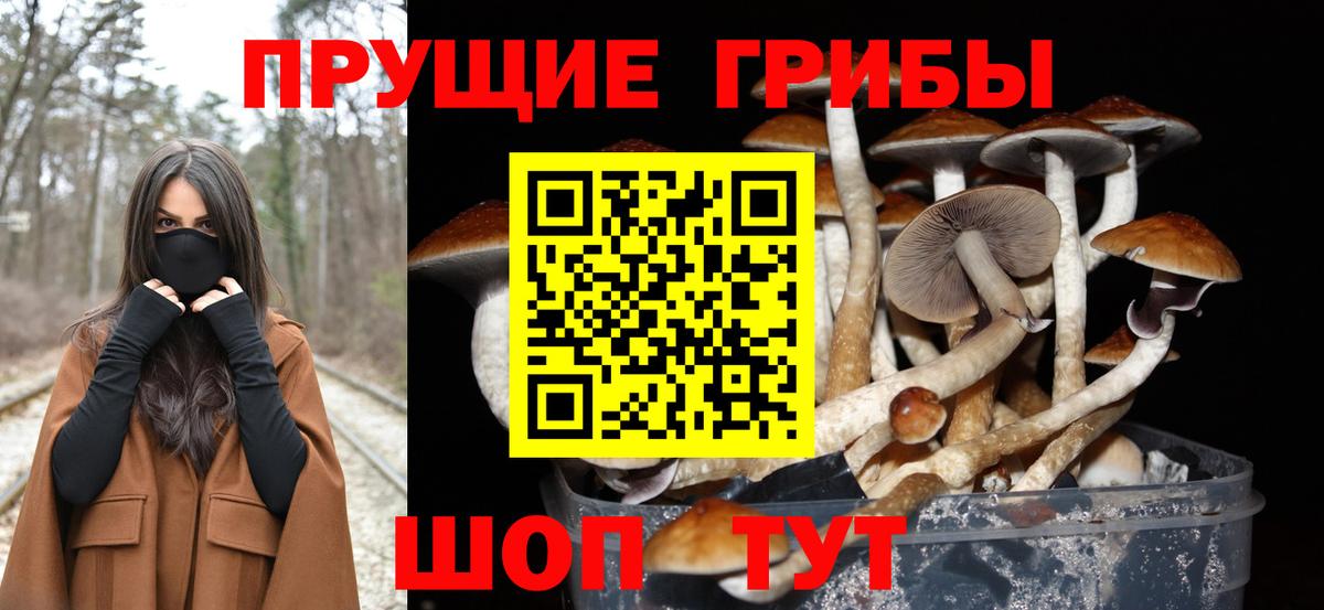 Галлюциногенные грибы Magic Shrooms Сергиев Посад